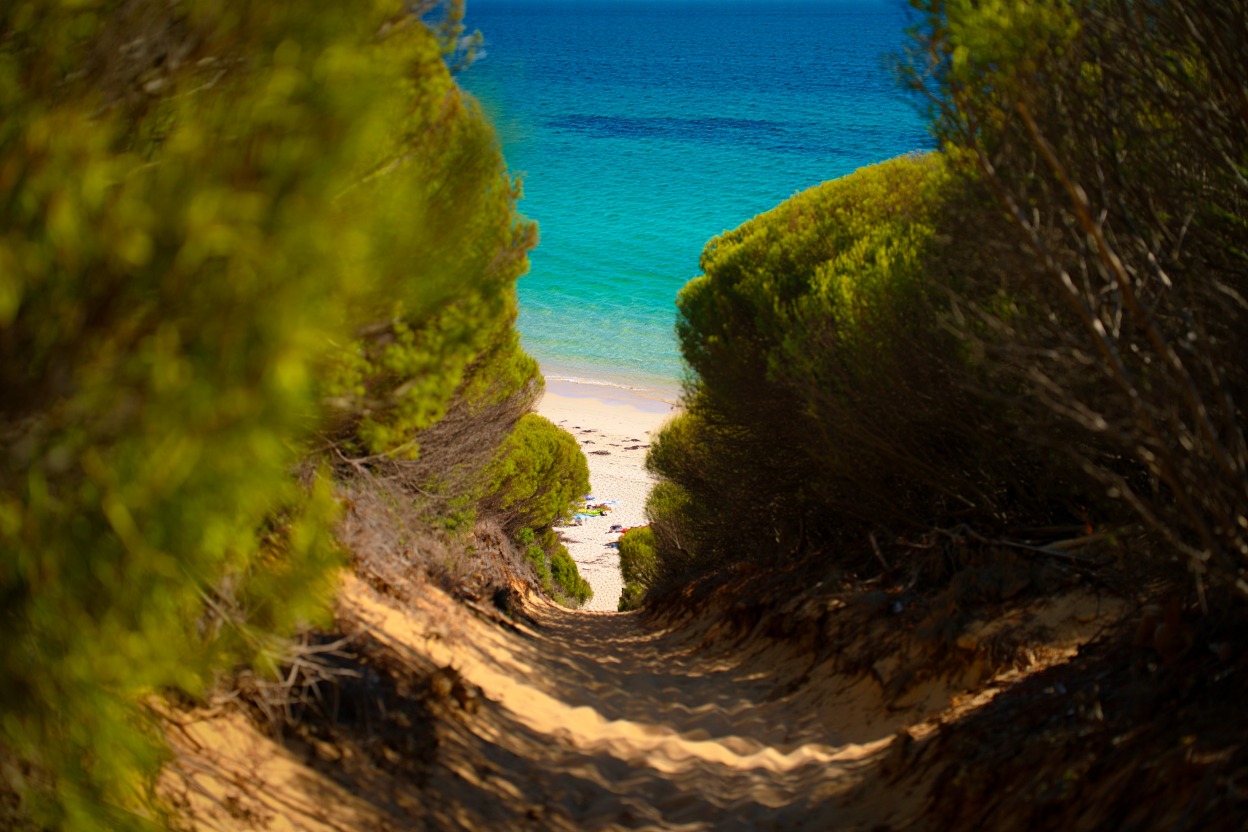 This Hidden Beach Near Sydney Is Only 45 Minutes from the City — Most Locals Still Don’t Know It