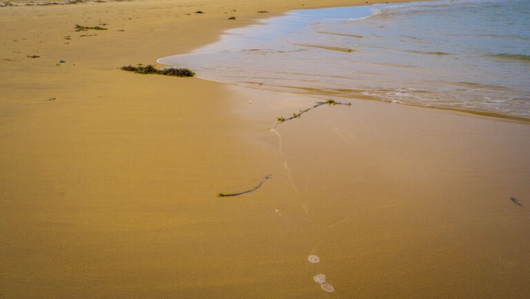 Forget the Byron Bay crowds this overlooked town two hours south has the same beaches and almost no one
