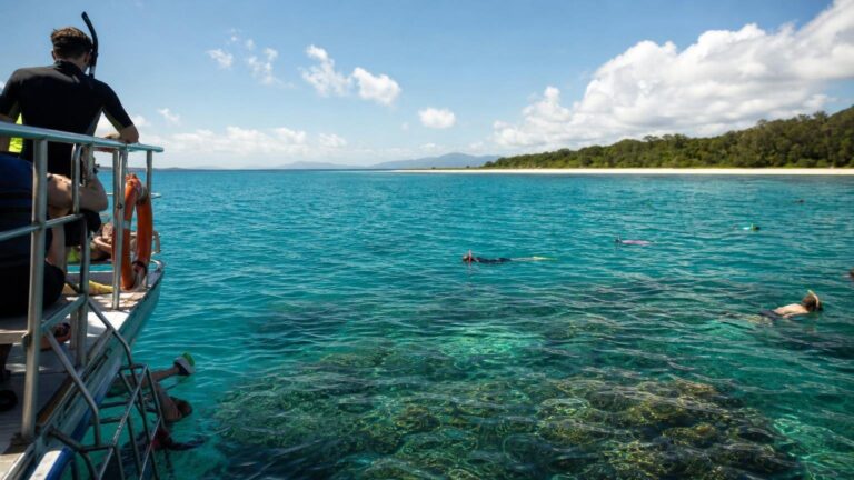 Skip Port Douglas this spring because this quieter town further north has the same reef access without the crowds